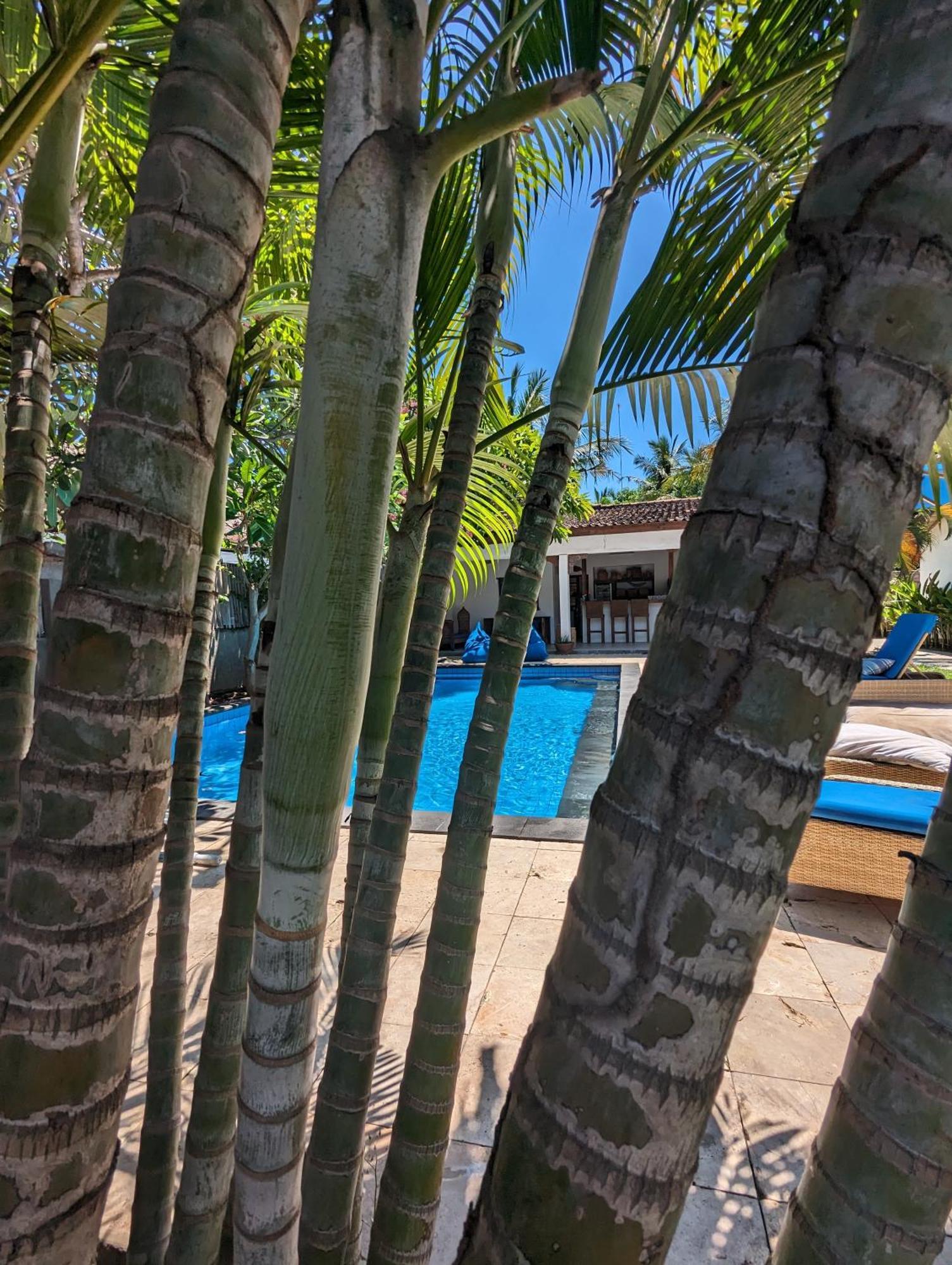 Indigo Guest house