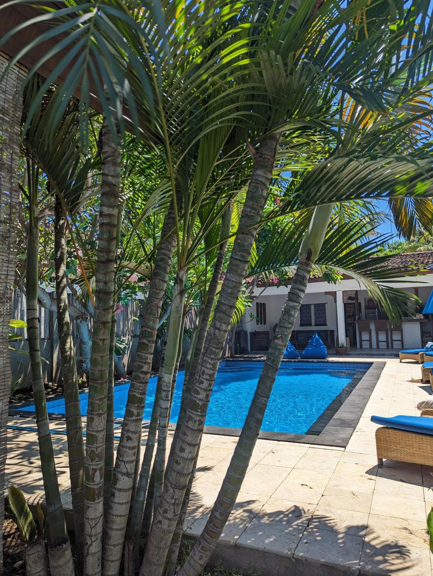 Indigo Guest house 3*