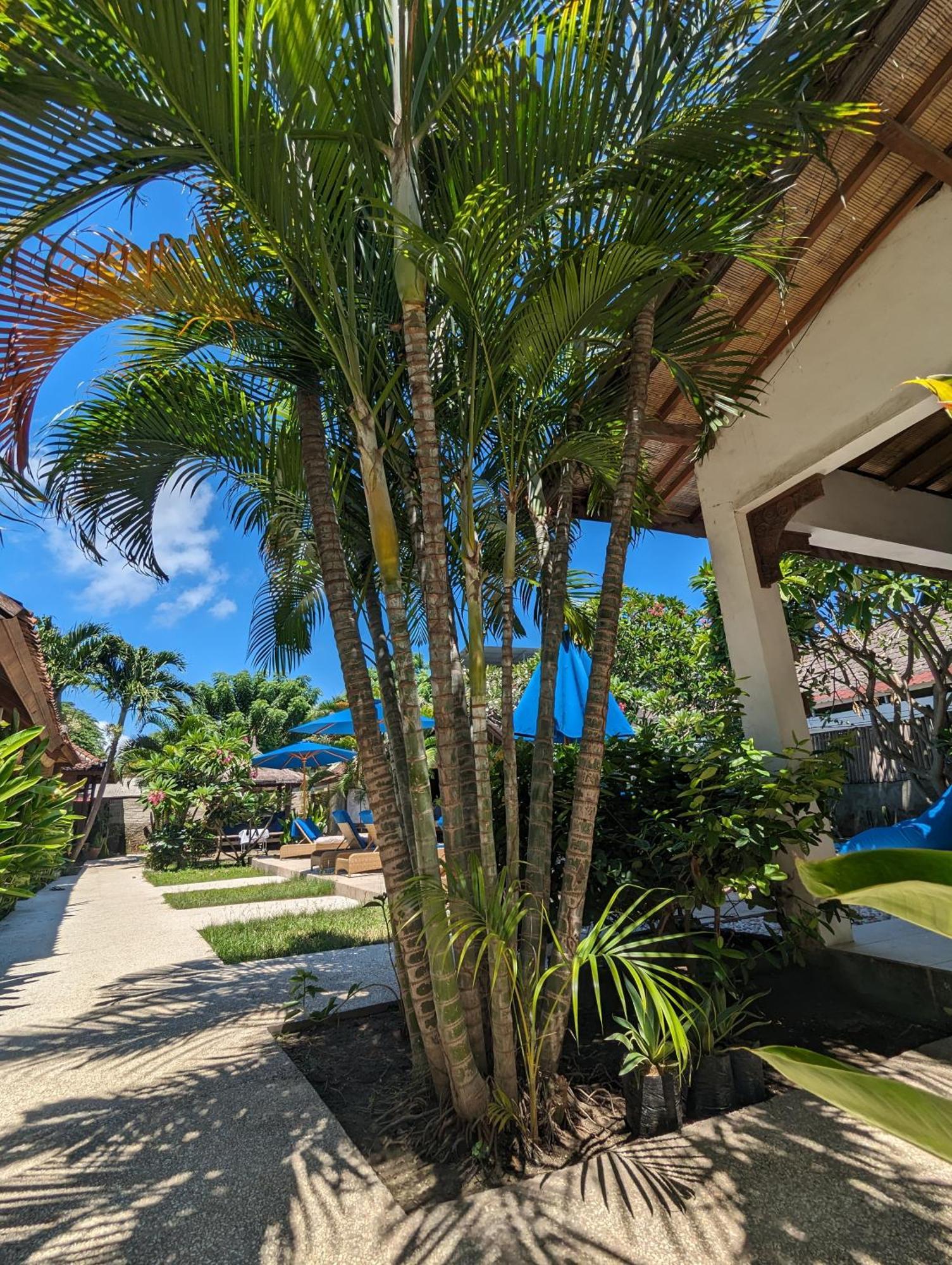 Indigo 3* Gili Trawangan